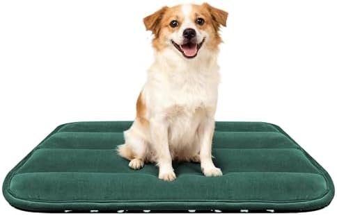 Dog Bed Mat, Reversible Dog Crate Pad with Washable Kennel Mat and Soft Foam, Flat Pet Bed for Dogs & Cats, for Crates Carriers & Travel (Green, 28" L*16" W*1.5" Th) by FogkissComfyPawsHome