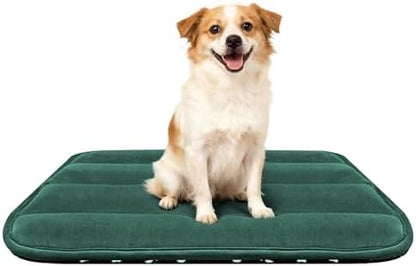 Dog Bed Mat, Reversible Dog Crate Pad with Washable Kennel Mat and Soft Foam, Flat Pet Bed for Dogs & Cats, for Crates Carriers & Travel (Green, 28" L*16" W*1.5" Th) by FogkissComfyPawsHome