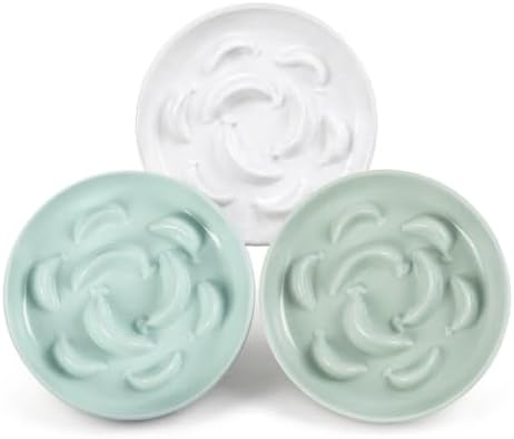 Melamine Slow Feeder Cat Bowls - 3 Pack Cat Food Dishes, 6.3 Inch Wide Opening Whisker Friendly Maze Plates for Dry and Wet Food, Dishwasher Safe, White, Blue, Green by PTOBER