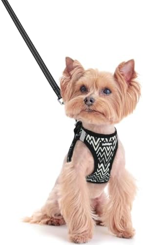 rabbitgoo Dog Harness Small Sized and Leash Set, Step-in Puppy Pet Vest by rabbitgoo