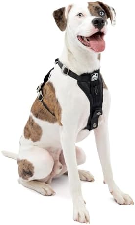 Kurgo Enhanced Strength Tru-Fit Smart Harness, Black, Medium by Kurgo