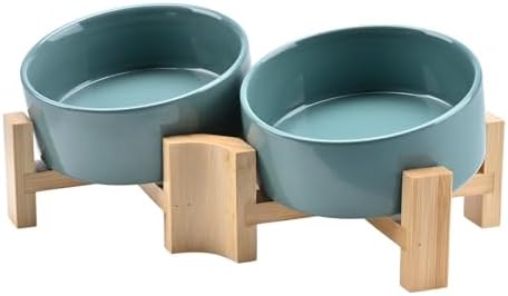 SPUNKYJUNKY 15° Slanted Ceramic Dog and Cat Bowl with Wooden Stand, Tilted Bulldog Food and Water Bowl No Slip Non-Spill for Cats Medium Dogs Big Face Pets 13.5 OZ (1.7 Cups, Light Green × 2) by SPUNKYJUNKY