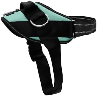 ShawnCo Essential Dog Harness, No-Pull Pet Vest (Seafoam,S) by SHAWNCO
