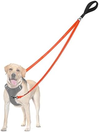 PetBonus Two Point Control Dog Leash, No Tangle Training Walking Leashes by Petbonus