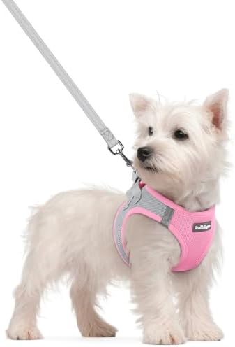 rabbitgoo Dog Harness Small Sized and Leash Set, Step-in Puppy Pet Vest by rabbitgoo