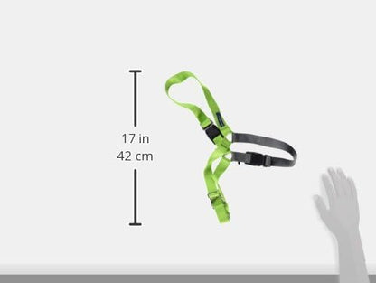 PetSafe Easy Walk Harness for Dogs - Pull-Free Walks - Patented Martingale Loop Design - Front Chest Leash Attachment - Comfort Straps - Breathable Harness Design - Large, Apple Green/Gray