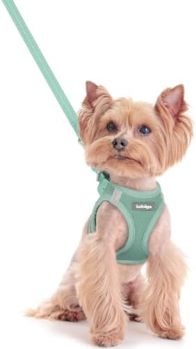 rabbitgoo Dog Harness Small Sized and Leash Set, Step-in Puppy Pet Vest by rabbitgoo