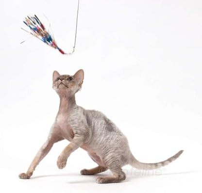 GoCat Da Bird Cat Toy Refill Accessories, Handmade in the USA, Sparkler - Image 2
