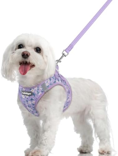 rabbitgoo Dog Harness Medium Sized and Leash Set, Step-in Puppy Pet Vest by rabbitgoo