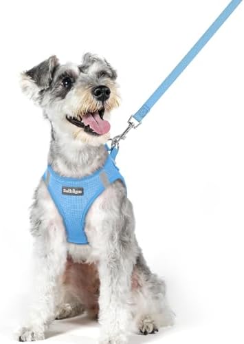 rabbitgoo Dog Harness Medium Sized and Leash Set, Step-in Puppy Pet Vest by rabbitgoo