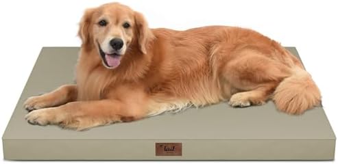 Waterproof Orthopedic Outdoor Dog Bed XL for Extra Large Dogs by TailStories
