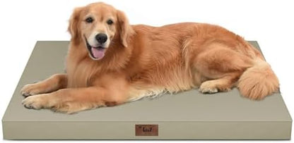 Waterproof Orthopedic Outdoor Dog Bed XL for Extra Large Dogs by TailStories
