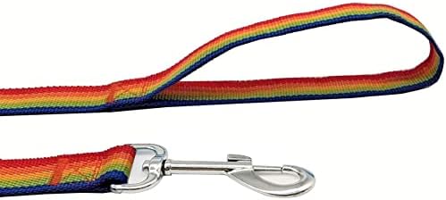 TAIAN 4FT/5FT/6FT Strong Dog Leash, Nylon Dog Leashes for Small Medium Large Dogs (1 in x 6 ft, Rainbow) - Image 4