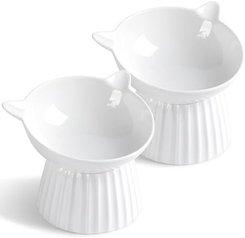 Ceramic Raised Cat Bowl，Tilted Raised Bowl Anti Vomit for Indoor Cats Whisker Friendly Pet Feeder for Cats Puppies, Microwave and Dishwasher Safe (White-2 Pack) by Wellbro