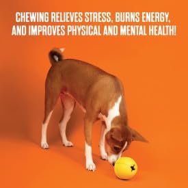 BullyMake Toss n' Treat Peanut Butter Flavored Ukelele Dog Chew Toy One Size