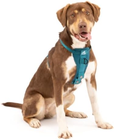 Kurgo Enhanced Strength Tru-Fit Smart Harness, Ink Blue, Large - Image 7