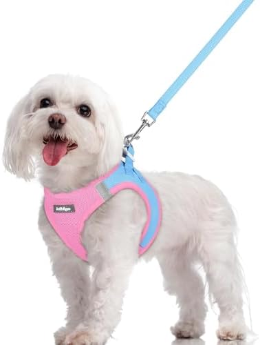 rabbitgoo Dog Harness Medium Sized and Leash Set, Step-in Puppy Pet Vest by rabbitgoo