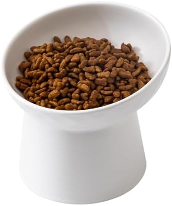 Ceramic Raised Cat Bowls - Elevated Tilted Cat Food and Water Bowls, Anti Vomiting and Protect Pets' Spines Pet Feeding Dish for Cats, Dishwasher Microwave Safe (1 x Bowl - White) by Welloyed