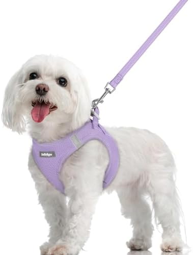 rabbitgoo Dog Harness Medium Sized and Leash Set, Step-in Puppy Pet Vest by rabbitgoo