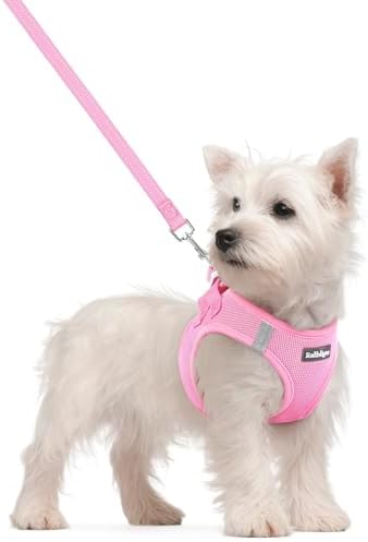 rabbitgoo Dog Harness Small Sized and Leash Set, Step-in Puppy Pet Vest by rabbitgoo