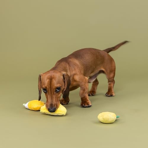 Fringe Studio Plush Dog Toy, 3 Pieces Set, Sour You Doing?, Pet Shop Collection (662169) - Image 4