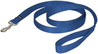 PetSafe Nylon Dog Leash - Strong, Durable, Traditional Style Leash with Easy to Use Bolt Snap - 1 in. x 6 ft., Royal Blue by PetSafe