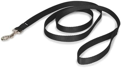 PetSafe Nylon Dog Leash - Strong, Durable, Traditional Style Leash with Easy to Use Bolt Snap - 3/4 in. x 6 ft., Black by PetSafe