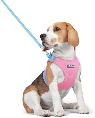 rabbitgoo Dog Harness Medium Sized and Leash Set, Step-in Puppy Pet Vest by rabbitgoo