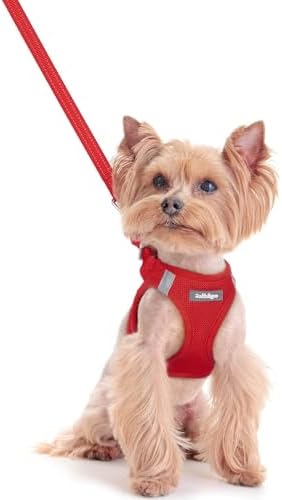 rabbitgoo Dog Harness Small Sized and Leash Set, Step-in Puppy Pet Vest by rabbitgoo