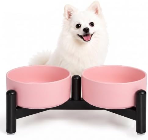 Raised Ceramic Dog Bowl Set with Stand, 1.6 Cups Elevated Dog Food Stand by PTOBER