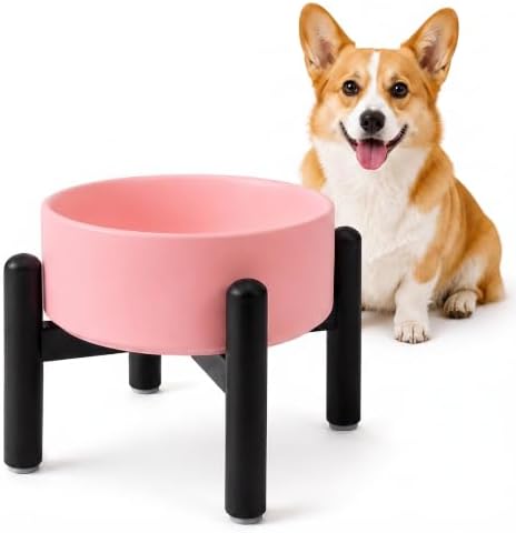 Raised Ceramic Dog Bowl Set with Stand, 2 Cups Elevated Dog Food Stand by PTOBER