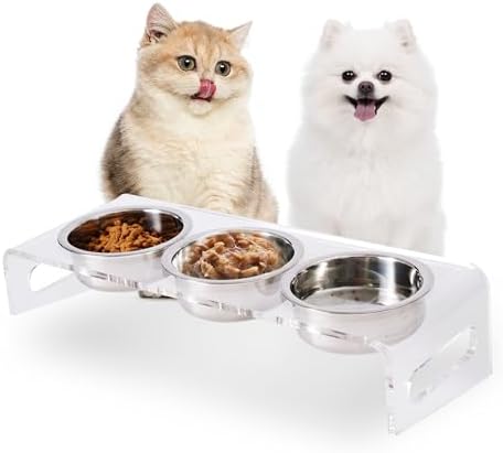 Tilted Raised Elevated Food and Water Bowls Stand for Cat or Small Dogs - Puppy's Clear Acrylic Stainless Steel 3 Dishes Holder for Boy or Girl Pet by WBhonghui (Clear-3bowls) by WBHONGHUI