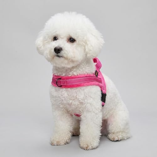 Didog No Pull Dog Harness for Small Dogs, Soft Flannel Padded, Hot Pink, XS - Image 6
