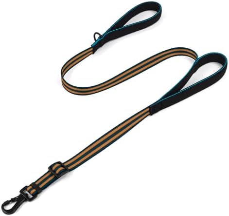 Reflective Double Handle Dog Leash for Large Medium Small Dogs (BO, L) by Tiffpaws