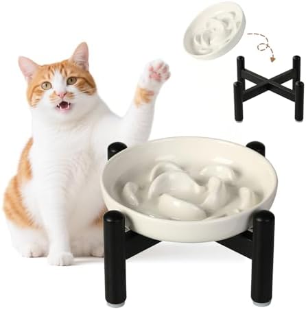 Elevated Ceramic Slow Feeder Cat Bowl, 6.3'' Wide Whisker Friendly by PTOBER