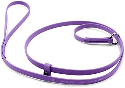 Jelly Pet Grooming Lead for Dogs | Great for Kennels, Veterinarians and Dog Grooming Salons | Biothane Leash - Easy to Clean, Waterproof & Durable Noose Loop | Made in the USA | 5/8" x 6' by GroomersPro