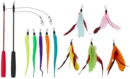 Amazon Basics Cat Feather Toy Kit with 2 Telescoping Wands and 10 Feather Attachments, Natural Feathers, for Adult Cats and Kittens by AmazonBasics
