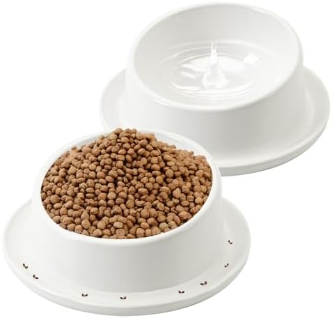 Ant Proof No Spill Ceramic Cat Food Bowls,15° Tilted Neck Support,No Spill,Non-Slip Base,Easy Clean Pet Water Dishes for Cat and Small Dog Indoor or Outdoor Use(2 Pack) by Meowgod