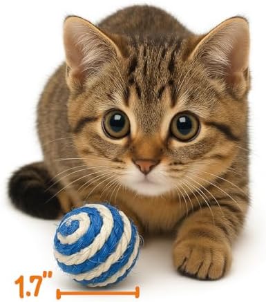 Cutie's PetBox 3-Pack Sisal String Rattle Ball Toy for Indoor Cats - All Natural Woven Fibers, Assorted Colors, 1.7" Size - Image 4