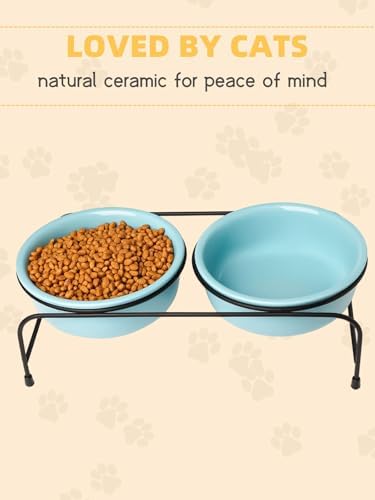 GDCZ Elevated 15 Oz Ceramic Double Cat Bowls with 11x3.5 Inch Stand (Turquoise) - Image 4