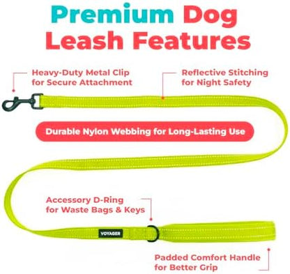 Best Pet Supplies Voyager Nylon Dog Leash - Lime Green, Small - Image 2