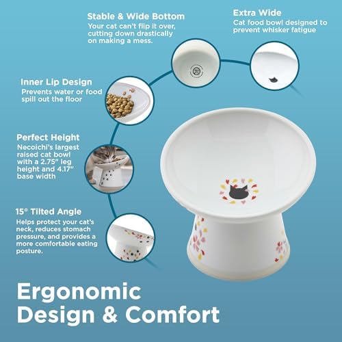 Necoichi Raised Cat Food Bowl, 15° Tilted (Sakura Floral, Extra Wide) - Image 3