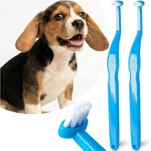 Small Dog Toothbrush, Cat & Puppy Tooth Brushing Kit, Mini Head Teeth Brush for Kitten & Tiny Pet, Doggy Toothbrushes Deep Dental Cleaning, 2 PCS - Blue by MoonyMars