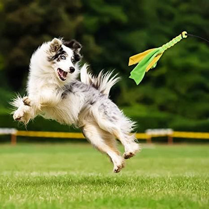 Flirt Pole for Dogs,Interactive Dog Toys for Chase and Tug of War,Durable Teaser Wand with Pet Fleece Rope Tether Lure Toy to Outdoor Exercise for Small Medium Large Dogs