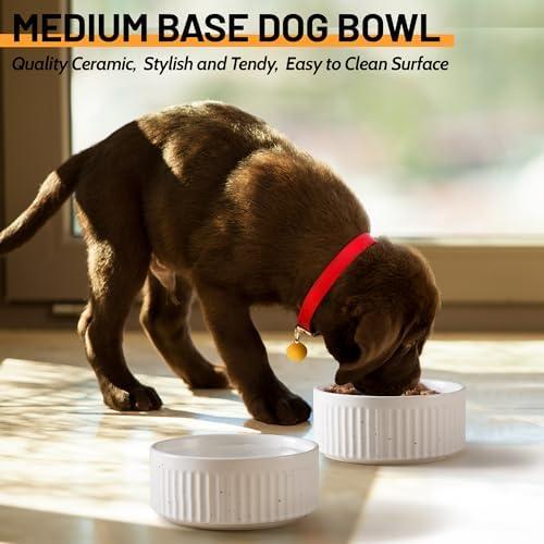 Non-Slip Ceramic Dog Bowls, 5" Dog Food and Water Bowl Set with Silicone Base, 16oz/2cups Weighted Flip-Proof Pet Feeding Bowl for Small Dogs and Cats (Small, White) - Image 6