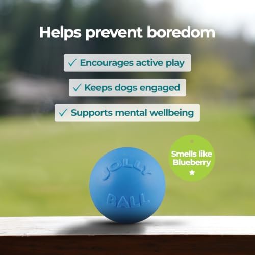 Jolly Pets Bounce-n-Play Dog Toy Ball, 6 Inches, Blueberry, All Breed Sizes - Image 2