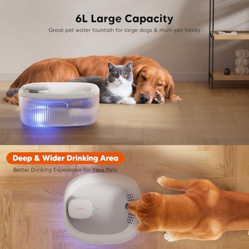 WOPET Dog Water Fountain for Large Dogs, 6L/205oz/1.6Gal Automatic Dog and Cat Water Fountain, Pet Water Dispenser with 6 Filters, Ultra-Quiet Pump, Great for Large Dogs Cats and Multi-Pet Home - Image 2