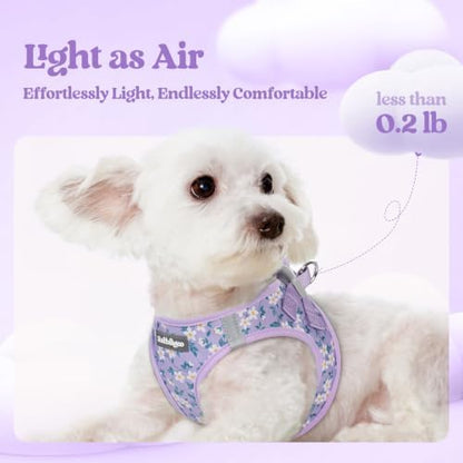 rabbitgoo Dog Harness Small Sized and Leash Set, Step-in Puppy Pet Vest - Image 3