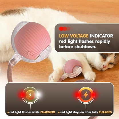 Durable Interactive Cat Toys for Indoor Cats, Smart Automatic Cat Chase Ball Toy, Upgraded Speedy Tail Kitten Toy for Bored Indoor Adult Pets (Pink, 01) - Image 7