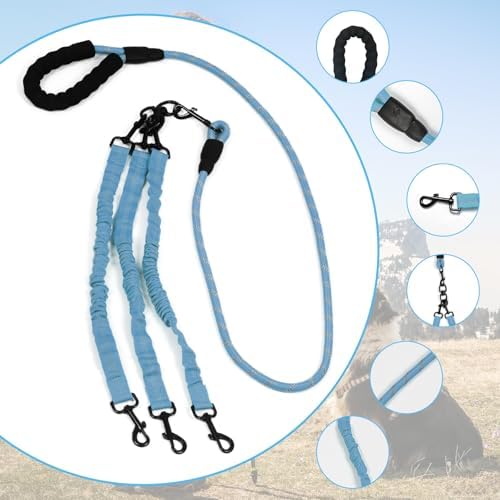 Dog Double Leashes,Rope Bungee Three Leash with Padded Handle Removable for 3 Dogs,Tangle-Free, Padded Handles, 360° Swivel Control (Blue, 5 Way) - Image 3